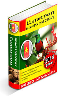 cameroon importers directory